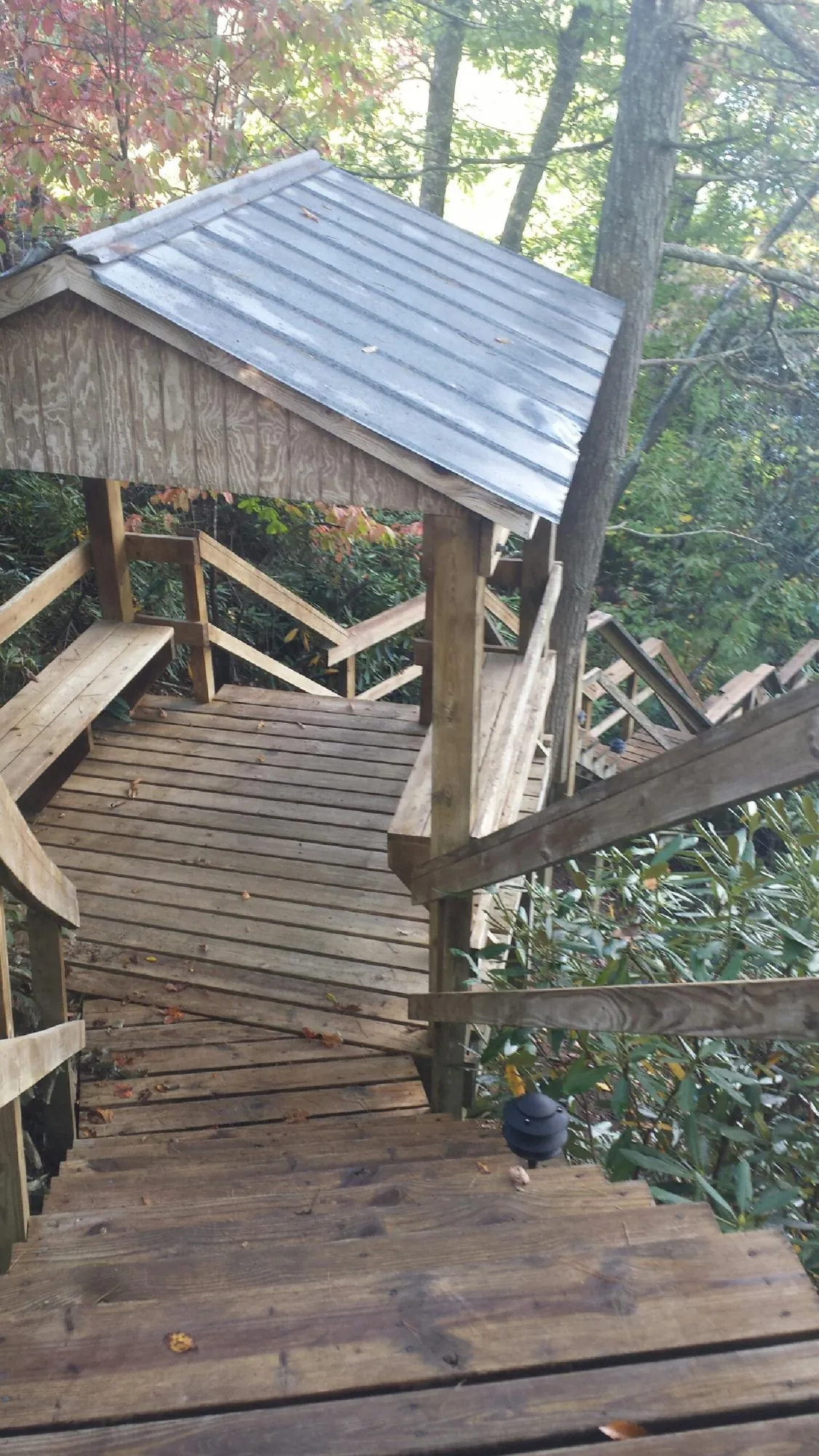 Metal roofed shelter over wooden steps on a wooded walkway — Skylight Repair & Installation work by our crew in Bay Pines